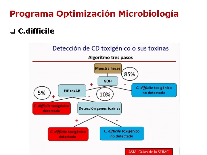 Programa Optimización Microbiología q C. difficile Programa Optimización Microbiología q C. difficile