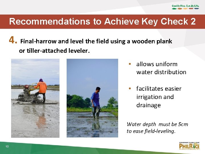 Recommendations to Achieve Key Check 2 4. Final-harrow and level the field using a