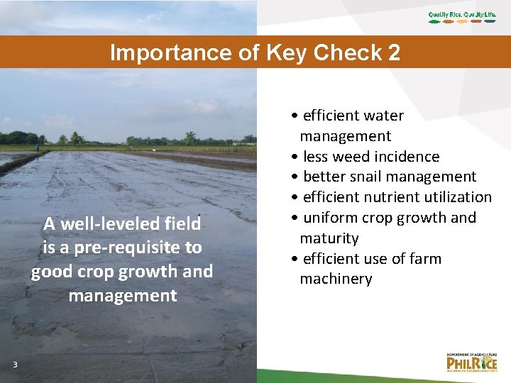 Importance of Key Check 2 A well-leveled field is a pre-requisite to good crop