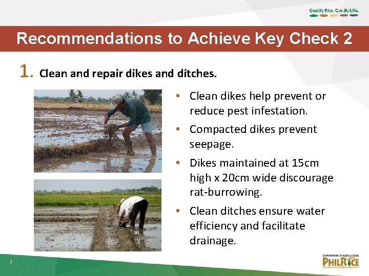 Recommendations to Achieve Key Check 2 1. Clean and repair dikes and ditches. •