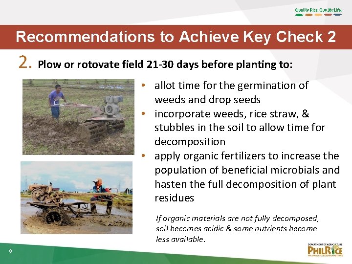 Recommendations to Achieve Key Check 2 2. Plow or rotovate field 21 -30 days