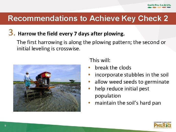 Recommendations to Achieve Key Check 2 3. Harrow the field every 7 days after