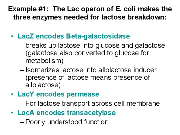 Example #1: The Lac operon of E. coli makes the three enzymes needed for Example #1: The Lac operon of E. coli makes the three enzymes needed for