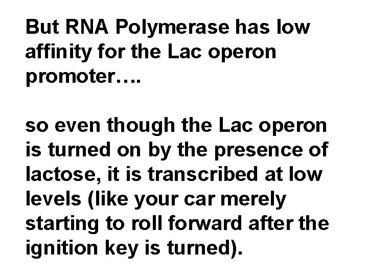 But RNA Polymerase has low affinity for the Lac operon promoter…. so even though But RNA Polymerase has low affinity for the Lac operon promoter…. so even though