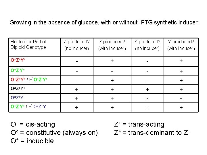 Growing in the absence of glucose, with or without IPTG synthetic inducer: Haploid or Growing in the absence of glucose, with or without IPTG synthetic inducer: Haploid or