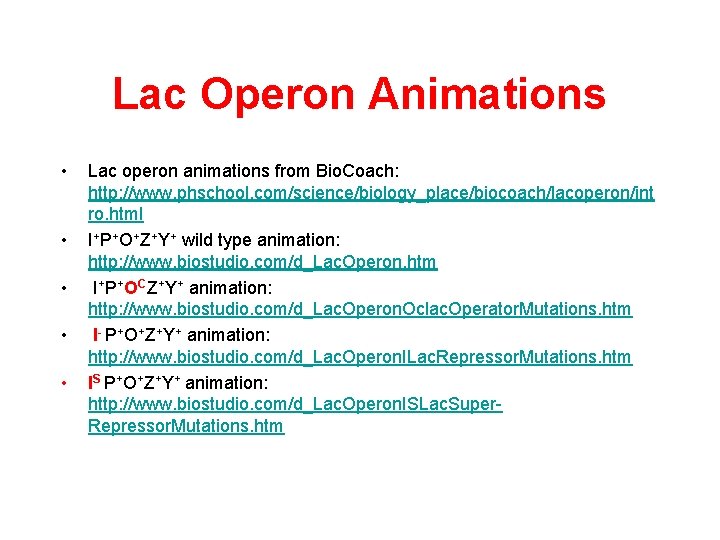 Lac Operon Animations • • • Lac operon animations from Bio. Coach: http: //www. Lac Operon Animations • • • Lac operon animations from Bio. Coach: http: //www.