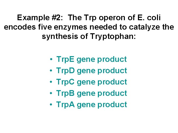 Example #2: The Trp operon of E. coli encodes five enzymes needed to catalyze Example #2: The Trp operon of E. coli encodes five enzymes needed to catalyze