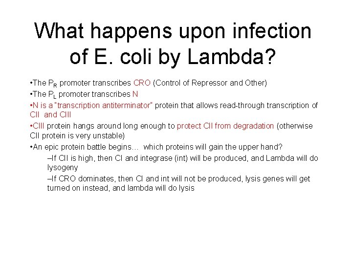 What happens upon infection of E. coli by Lambda? • The PR promoter transcribes What happens upon infection of E. coli by Lambda? • The PR promoter transcribes