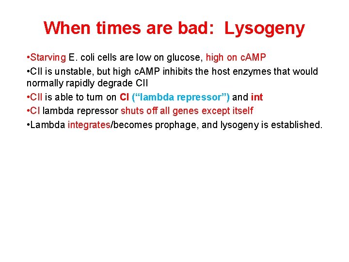When times are bad: Lysogeny • Starving E. coli cells are low on glucose, When times are bad: Lysogeny • Starving E. coli cells are low on glucose,