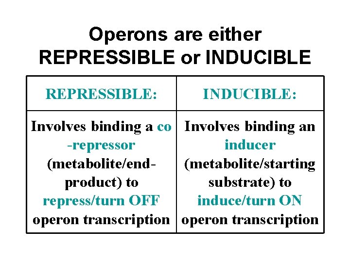 Operons are either REPRESSIBLE or INDUCIBLE REPRESSIBLE: INDUCIBLE: Involves binding a co Involves binding Operons are either REPRESSIBLE or INDUCIBLE REPRESSIBLE: INDUCIBLE: Involves binding a co Involves binding