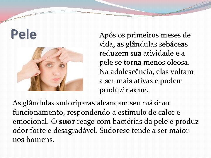 Pele Após os primeiros meses de vida, as glândulas sebáceas reduzem sua atividade e