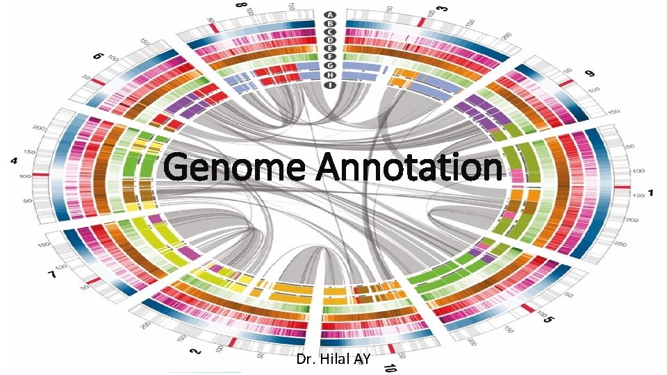Genome Annotation Dr. Hilal AY 