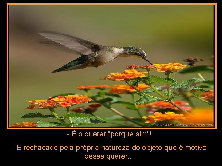 - É o querer ”porque sim”! - É rechaçado pela própria natureza do objeto