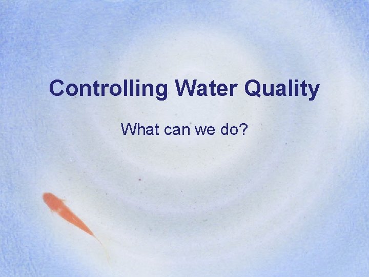 Controlling Water Quality What can we do? 