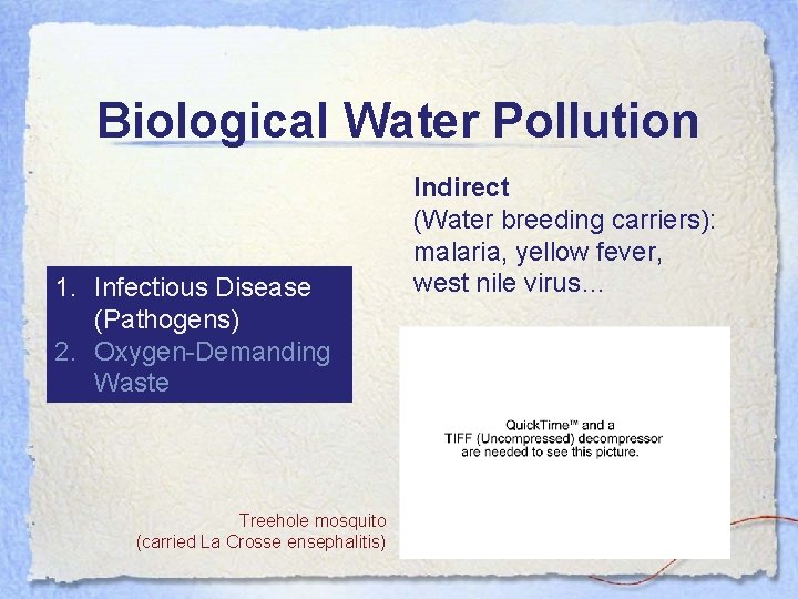 Biological Water Pollution 1. Infectious Disease (Pathogens) 2. Oxygen-Demanding Waste Treehole mosquito (carried La
