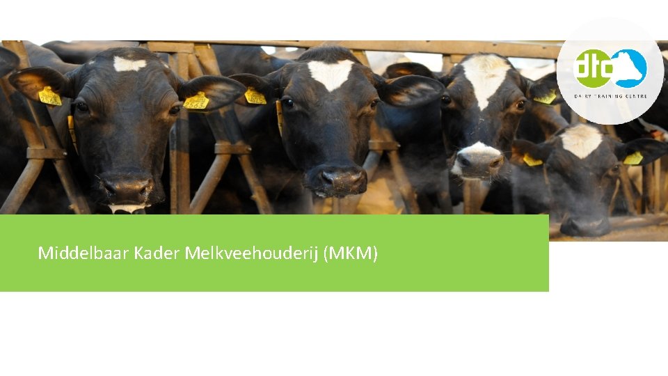 Middelbaar Kader Melkveehouderij (MKM) 