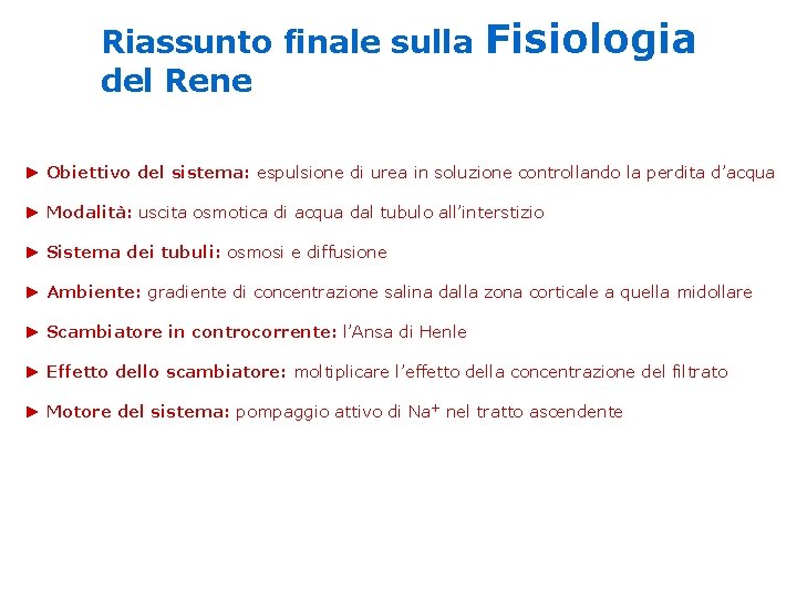Riassunto finale sulla del Rene Fisiologia ► Obiettivo del sistema: espulsione di urea in Riassunto finale sulla del Rene Fisiologia ► Obiettivo del sistema: espulsione di urea in