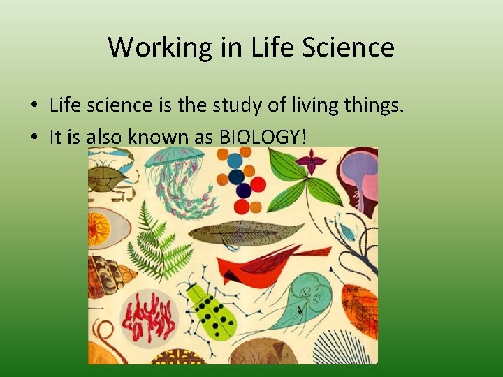 Working in Life Science • Life science is the study of living things. •