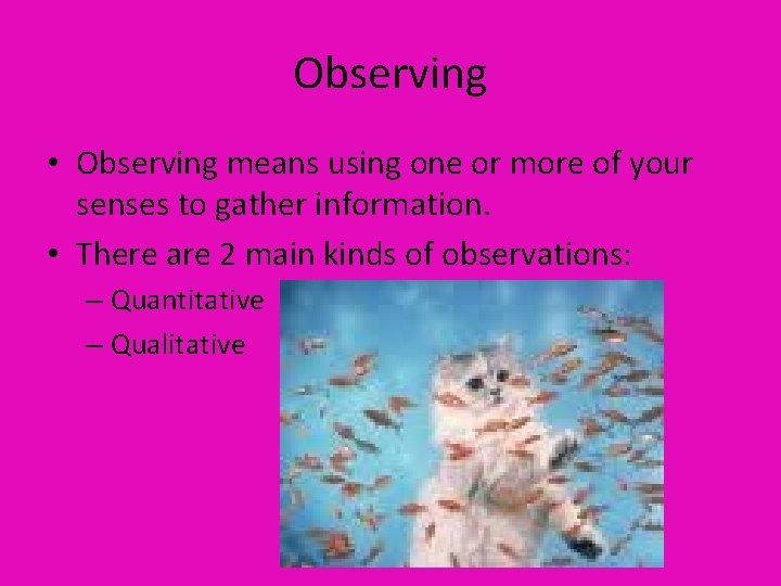 Observing • Observing means using one or more of your senses to gather information.
