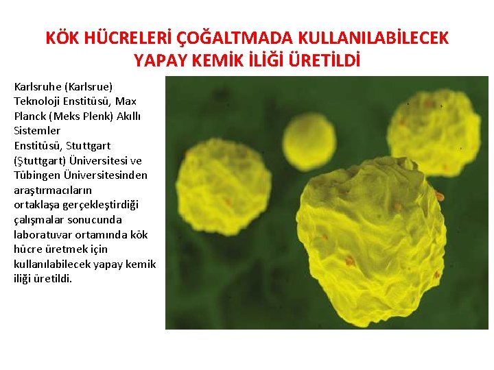 KÖK HÜCRELERİ ÇOĞALTMADA KULLANILABİLECEK YAPAY KEMİK İLİĞİ ÜRETİLDİ Karlsruhe (Karlsrue) Teknoloji Enstitüsü, Max Planck