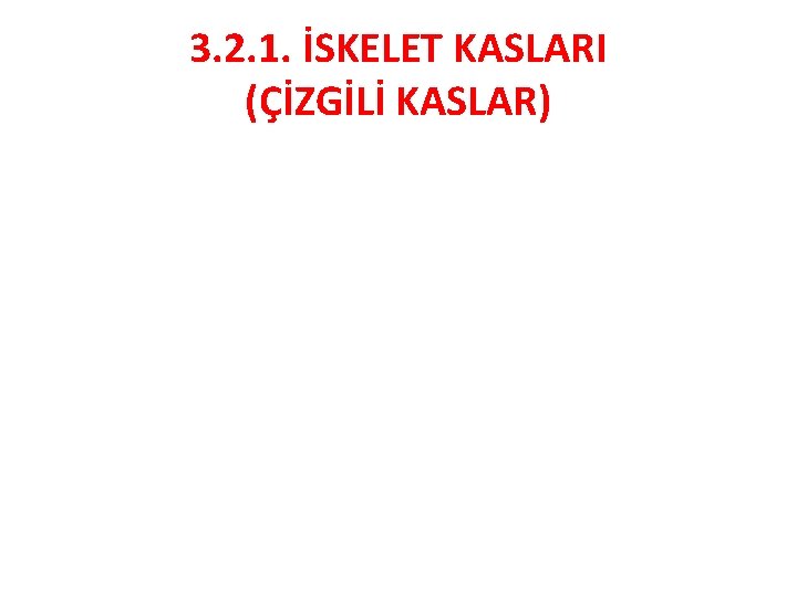 3. 2. 1. İSKELET KASLARI (ÇİZGİLİ KASLAR) 