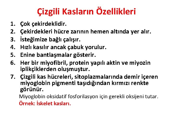 Çizgili Kasların Özellikleri 1. 2. 3. 4. 5. 6. Çok çekirdeklidir. Çekirdekleri hücre zarının