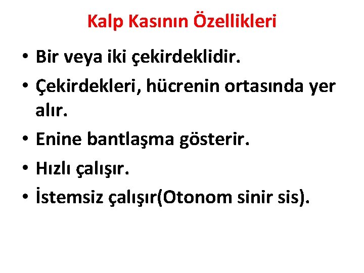 Kalp Kasının Özellikleri • Bir veya iki çekirdeklidir. • Çekirdekleri, hücrenin ortasında yer alır.