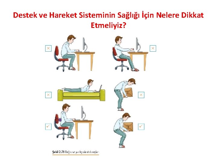 Destek ve Hareket Sisteminin Sağlığı İçin Nelere Dikkat Etmeliyiz? 