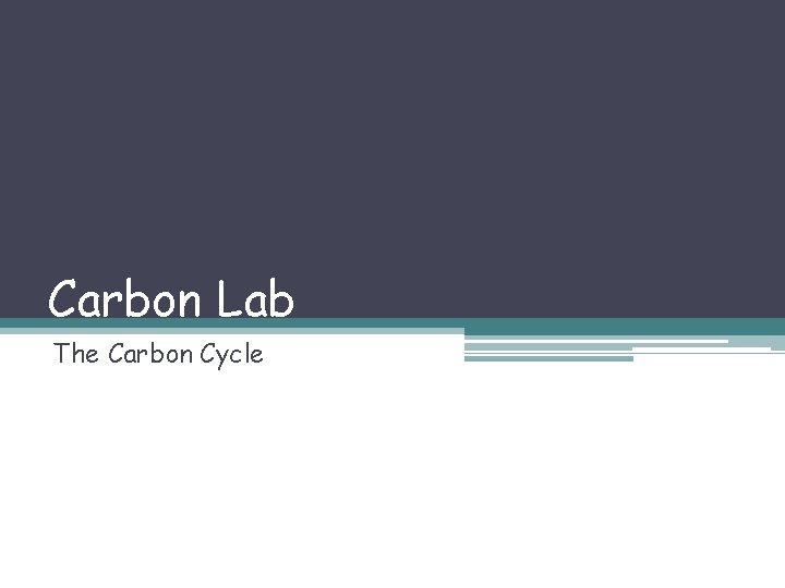 Carbon Lab The Carbon Cycle 