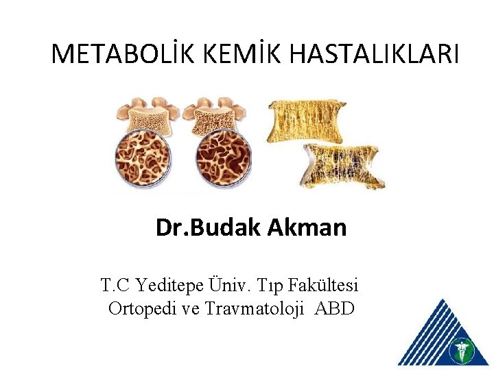 METABOLİK KEMİK HASTALIKLARI Dr. Budak Akman T. C Yeditepe Üniv. Tıp Fakültesi Ortopedi ve