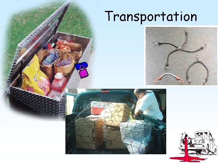 Transportation 