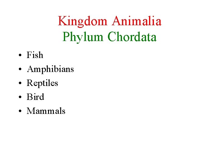 Kingdom Animalia Phylum Chordata • • • Fish Amphibians Reptiles Bird Mammals 