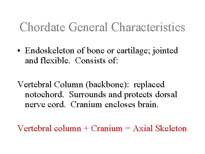 Chordate General Characteristics • Endoskeleton of bone or cartilage; jointed and flexible. Consists of: