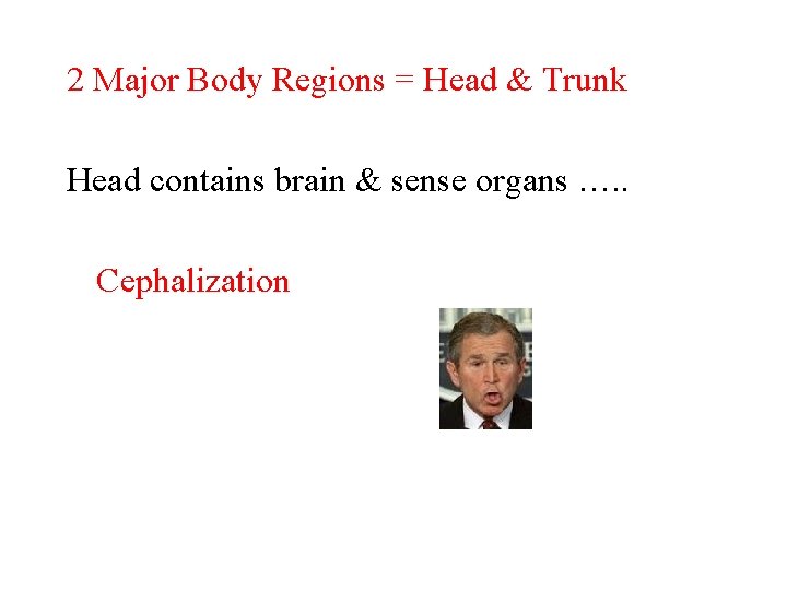 2 Major Body Regions = Head & Trunk Head contains brain & sense organs