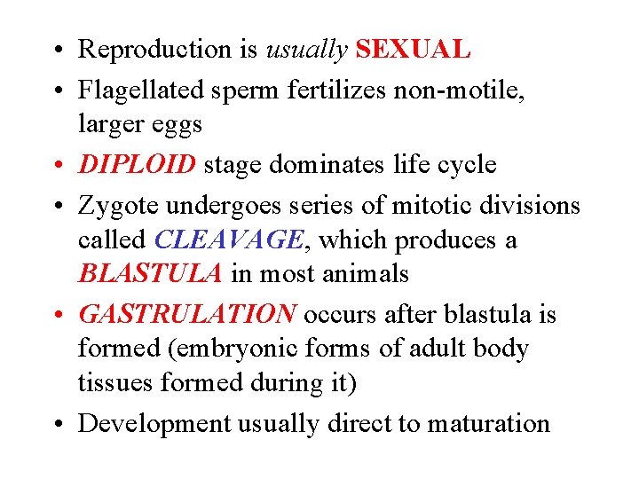  • Reproduction is usually SEXUAL • Flagellated sperm fertilizes non-motile, larger eggs •