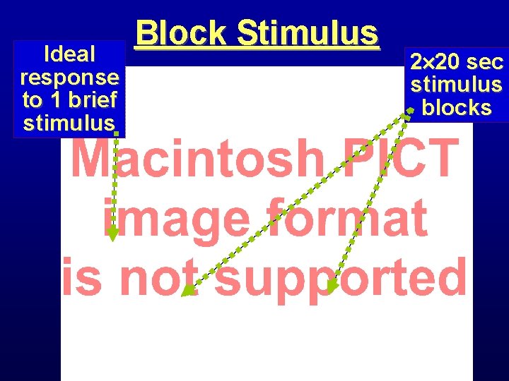 Ideal response to 1 brief stimulus Block Stimulus 2 20 sec stimulus blocks 