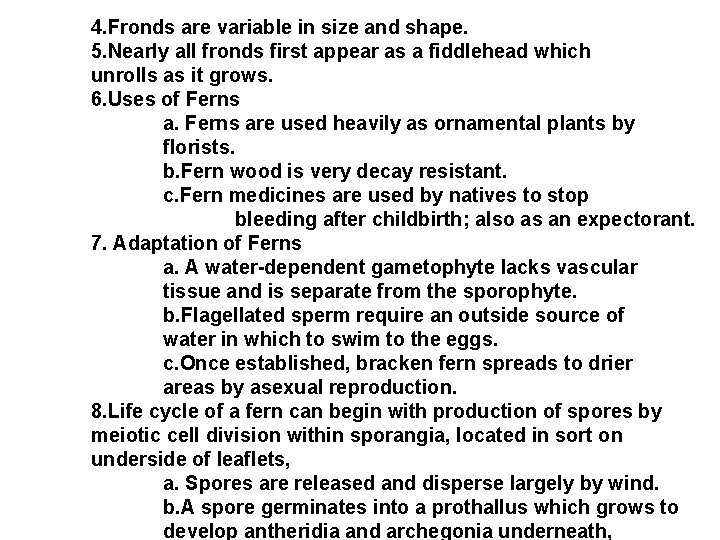 4. Fronds are variable in size and shape. 5. Nearly all fronds first appear