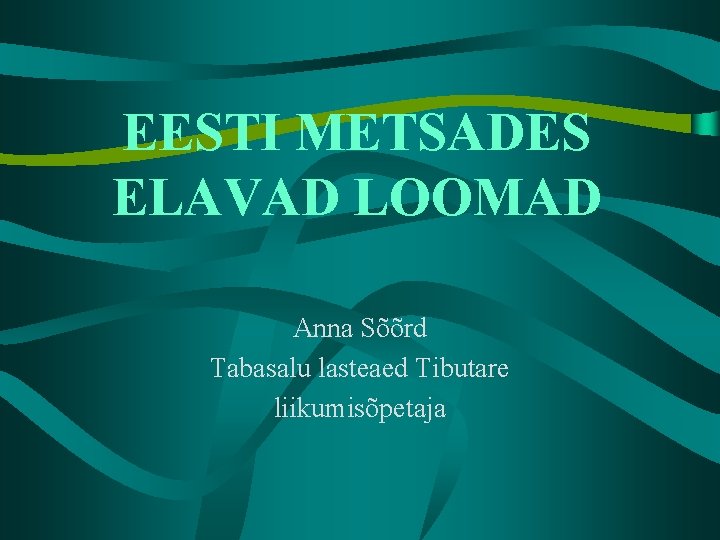 EESTI METSADES ELAVAD LOOMAD Anna Sõõrd Tabasalu lasteaed Tibutare liikumisõpetaja 