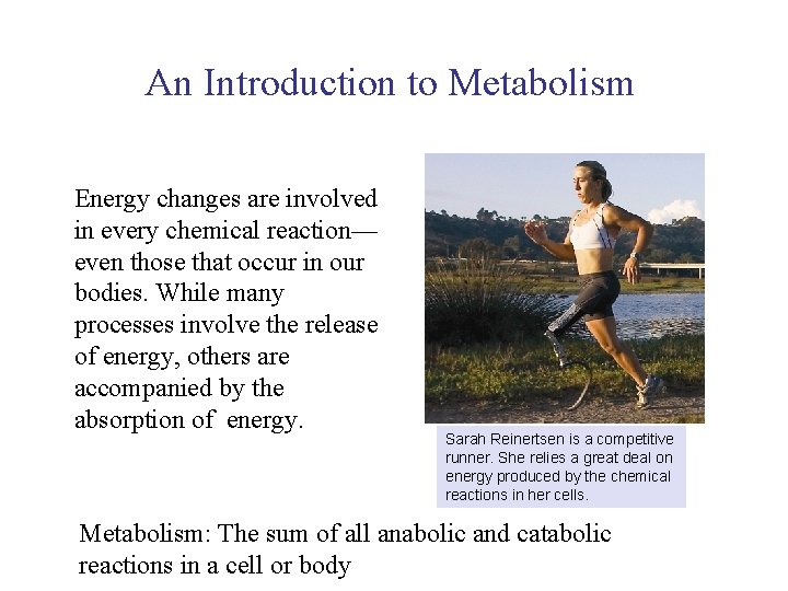 An Introduction to Metabolism Energy changes are involved in every chemical reaction— even those