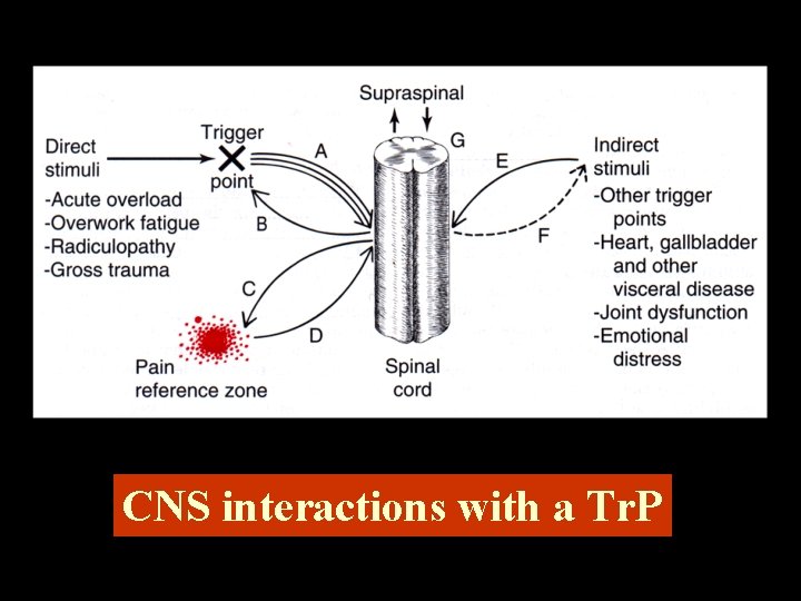 CNS interactions with a Tr. P 