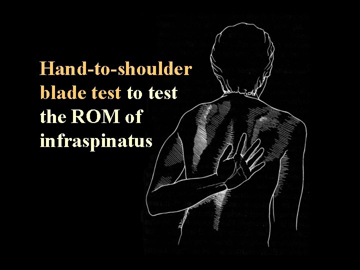 Hand-to-shoulder blade test to test the ROM of infraspinatus 