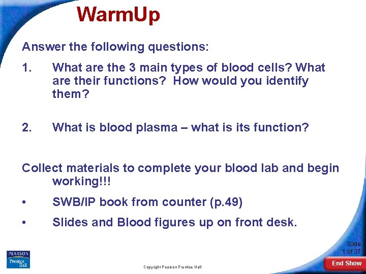 Warm. Up Answer the following questions: 1. What are the 3 main types of