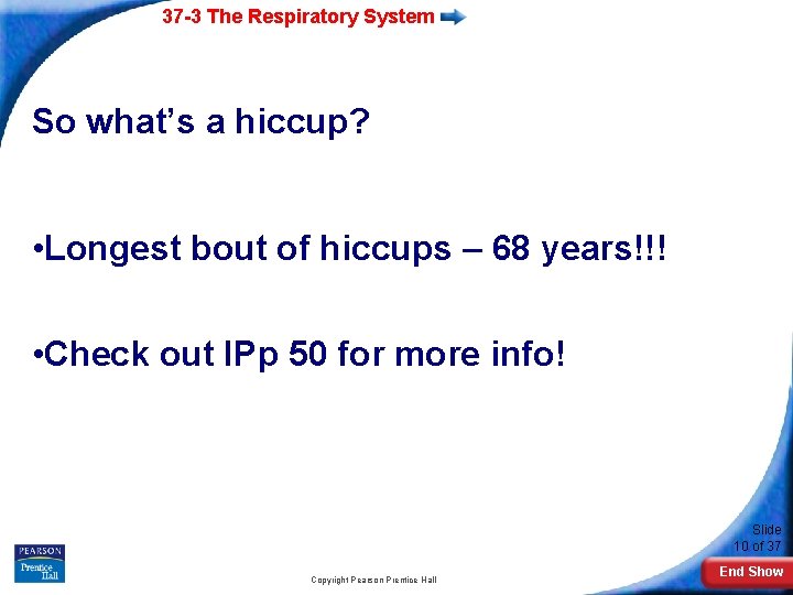 37 -3 The Respiratory System So what’s a hiccup? • Longest bout of hiccups