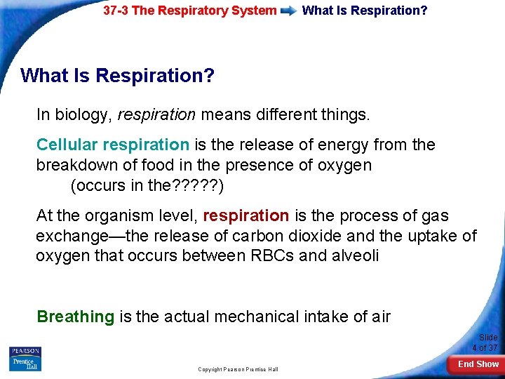 37 -3 The Respiratory System What Is Respiration? In biology, respiration means different things.