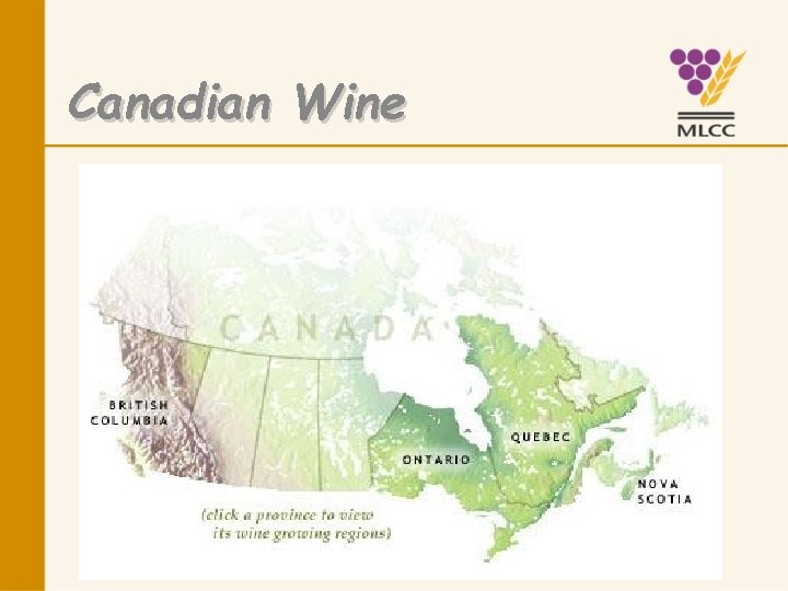 Canadian Wine 