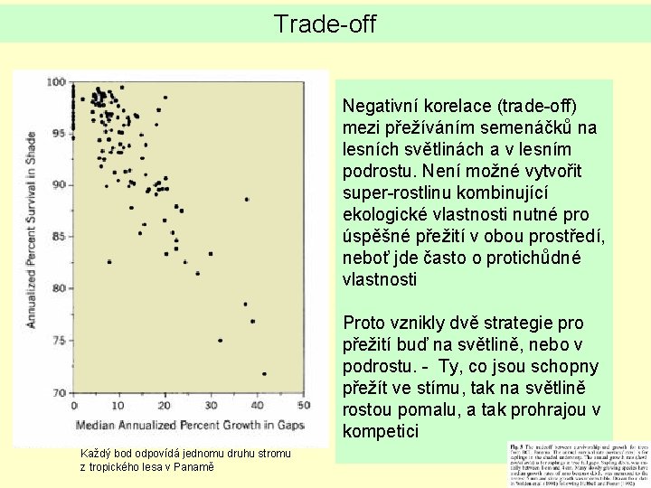 Trade-off Negativní korelace (trade-off) mezi přežíváním semenáčků na lesních světlinách a v lesním podrostu.
