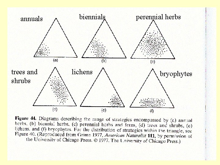 annuals trees and shrubs biennials lichens perennial herbs bryophytes 