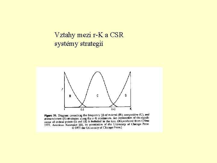 Vztahy mezi r-K a CSR systémy strategií 