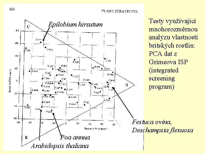 Epilobium hirsutum Poa annua Arabidopsis thaliana Testy využívající mnohorozměrnou analýzu vlastností britských rostlin: PCA