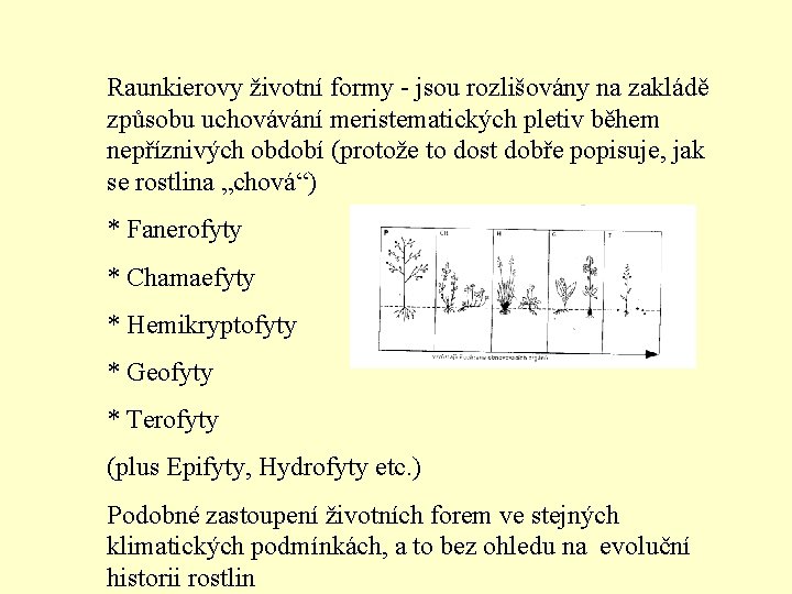 Raunkierovy životní formy - jsou rozlišovány na zakládě způsobu uchovávání meristematických pletiv během nepříznivých